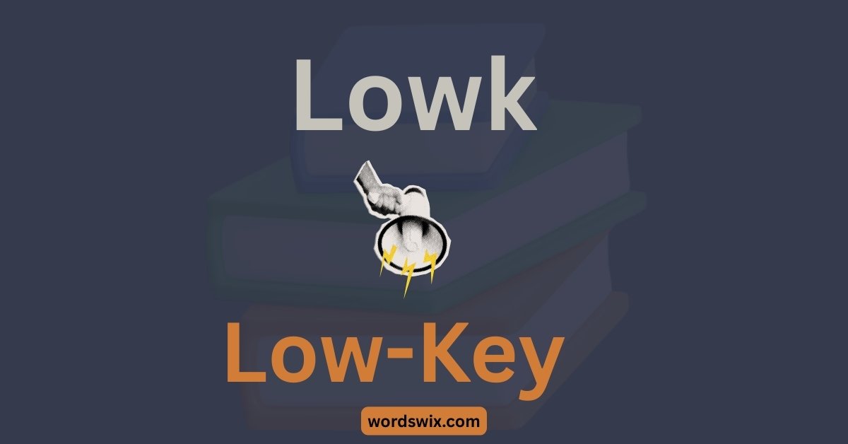 Lowk Meaning in Text