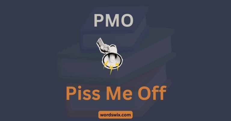 PMO meaning in text
