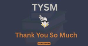 TYSM Meaning in Text