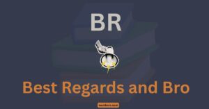 BR Meaning in Text: Best Regards or Bro? Find Out Now