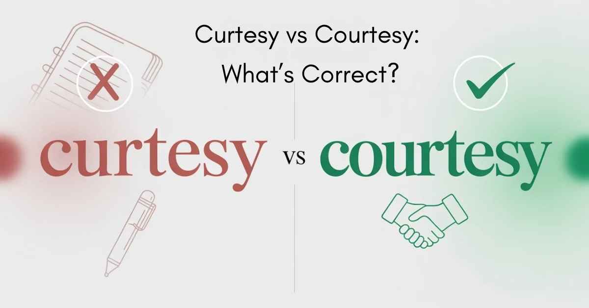 Curtesy vs Courtesy Which Spelling Is Correct