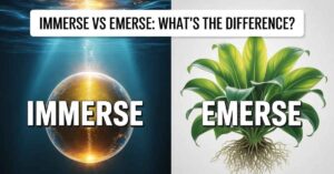Immerse Vs Emerse What's the Real Difference and Why It Matters