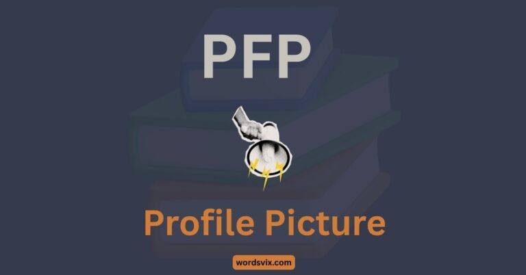 PFP Meaning in Text