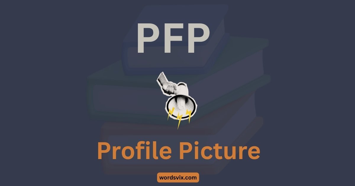 PFP Meaning in Text