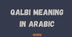 Qalbi Meaning in Arabic