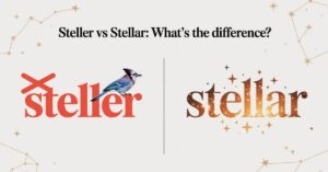 Steller vs Stellar Key Differences Explained Clearly
