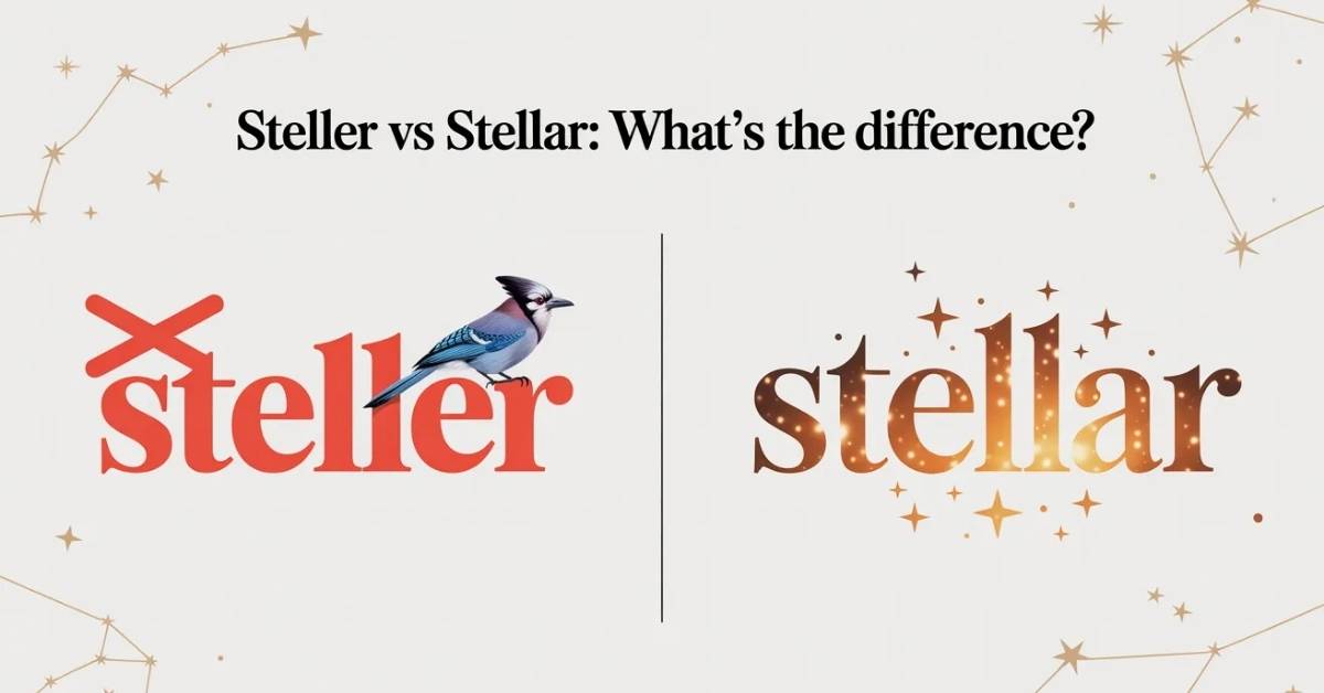 Steller vs Stellar Key Differences Explained Clearly