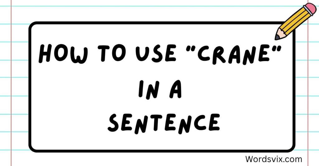 How to Use "Crane" in a Sentence