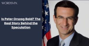 Is Peter Orszag Bald? The Real Story Behind the Speculation