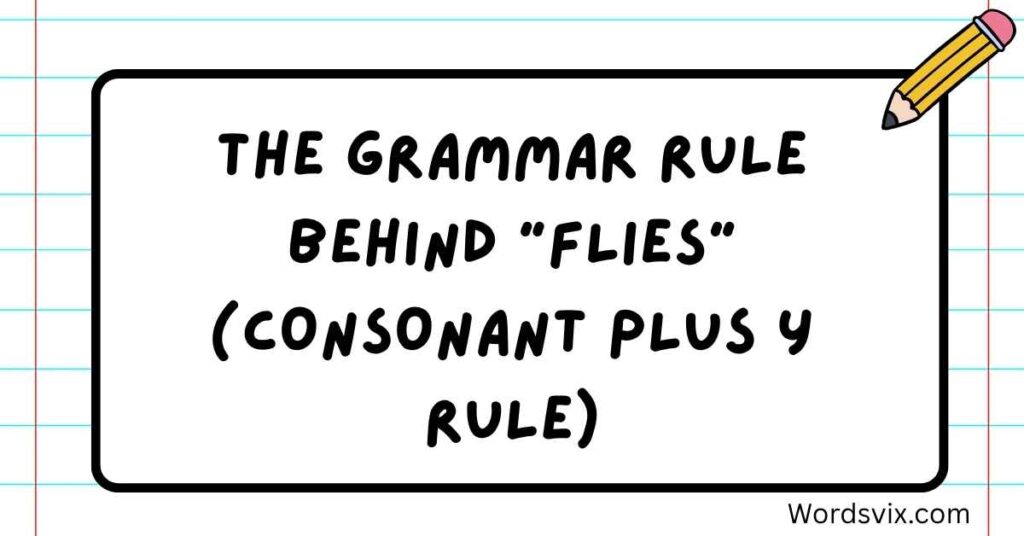 The Grammar Rule Behind "Flies" (Consonant Plus Y Rule)